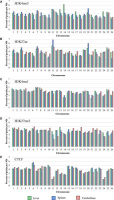 Characterizing Genetic Regulatory Elements in Ovine Tissues